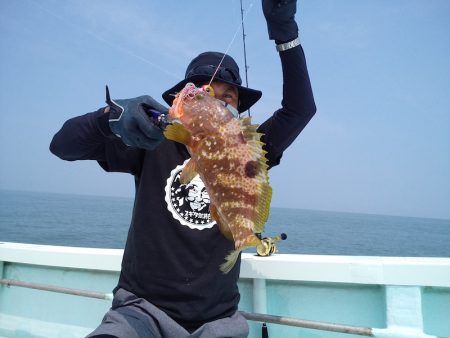 ひな丸 釣果
