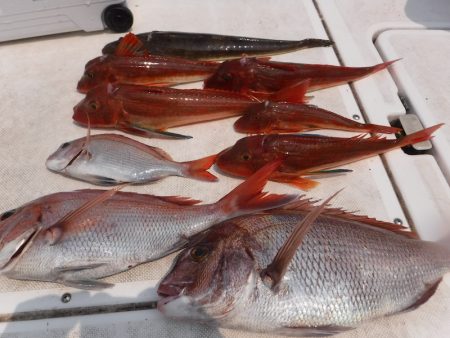 JDI Racing シールズマリンレジャー 釣果