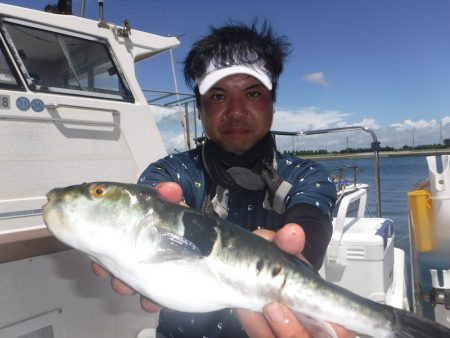 ＪＤＩ　Ｒａｃｉｎｇ　シールズマリンレジャー 釣果