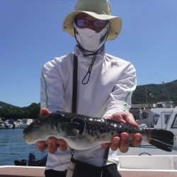 JDI Racing シールズマリンレジャー 釣果