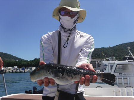 JDI Racing シールズマリンレジャー 釣果