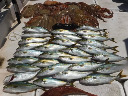 ＪＤＩ　Ｒａｃｉｎｇ　シールズマリンレジャ…