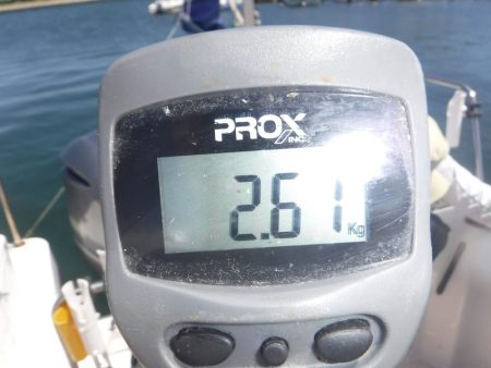 JDI Racing シールズマリンレジャー 釣果