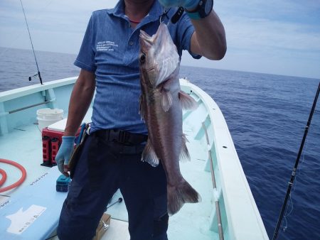 ひな丸 釣果