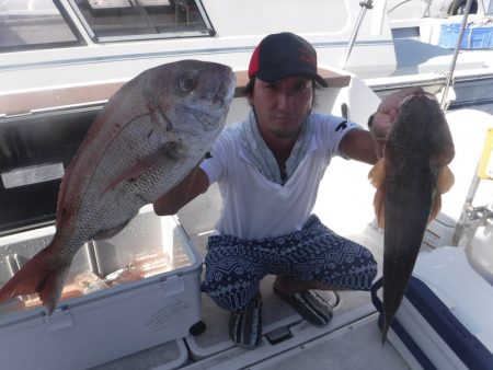 ＪＤＩ　Ｒａｃｉｎｇ　シールズマリンレジャー 釣果