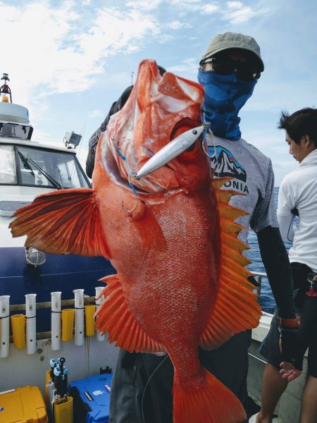 光生丸 釣果