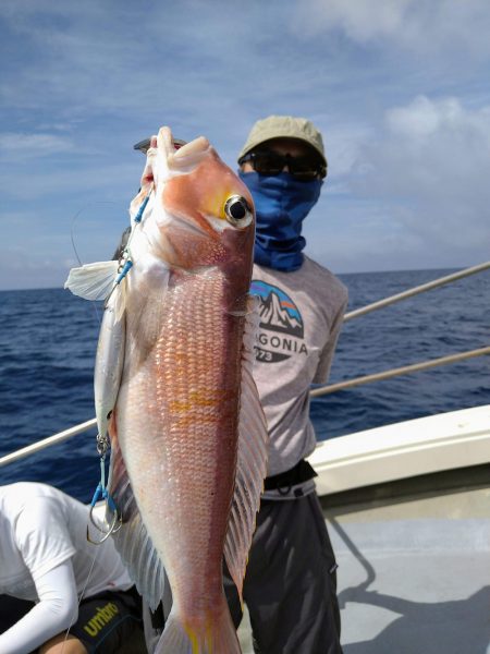 光生丸 釣果