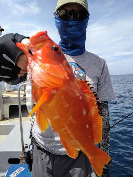 光生丸 釣果