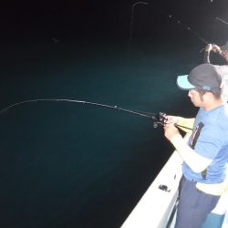 ＢｌｕｅＮｏｔｅ　Ｆｉｓｈｉｎｇ　Ｔａｘｉ 釣果