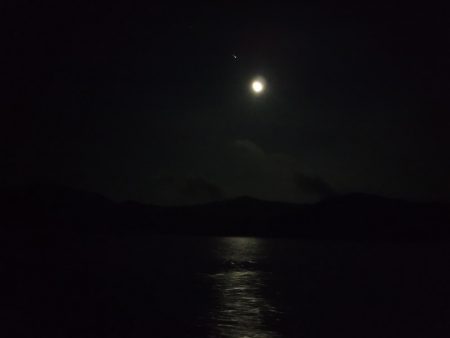 ＢｌｕｅＮｏｔｅ　Ｆｉｓｈｉｎｇ　Ｔａｘｉ 釣果