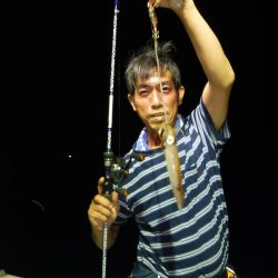 ＢｌｕｅＮｏｔｅ　Ｆｉｓｈｉｎｇ　Ｔａｘｉ 釣果