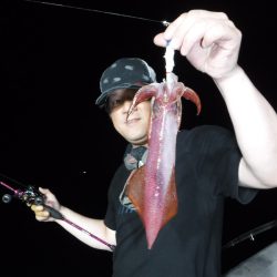 ＢｌｕｅＮｏｔｅ　Ｆｉｓｈｉｎｇ　Ｔａｘｉ 釣果