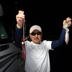 ＢｌｕｅＮｏｔｅ　Ｆｉｓｈｉｎｇ　Ｔａｘｉ 釣果