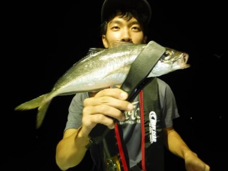 ＢｌｕｅＮｏｔｅ　Ｆｉｓｈｉｎｇ　Ｔａｘｉ 釣果