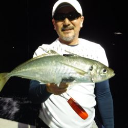 ＢｌｕｅＮｏｔｅ　Ｆｉｓｈｉｎｇ　Ｔａｘｉ 釣果