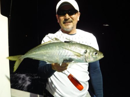 ＢｌｕｅＮｏｔｅ　Ｆｉｓｈｉｎｇ　Ｔａｘｉ 釣果