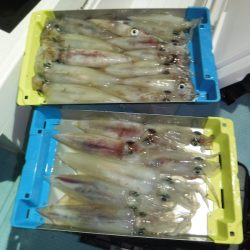 BlueNote Fishing Taxi 釣果