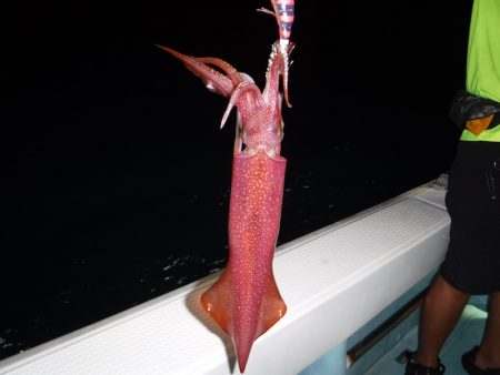 BlueNote Fishing Taxi 釣果