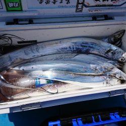 深川 吉野屋 釣果