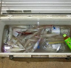 第二清洋丸 釣果