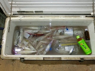 第二清洋丸 釣果