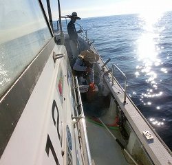 第二清洋丸 釣果