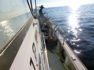 第二清洋丸 釣果