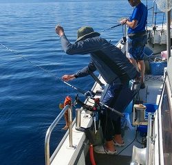 第二清洋丸 釣果