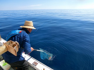 第二清洋丸 釣果