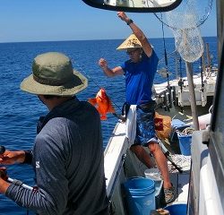 第二清洋丸 釣果