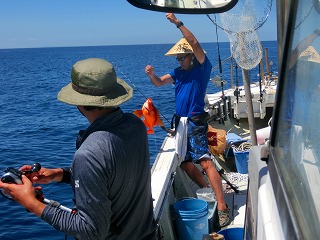 第二清洋丸 釣果