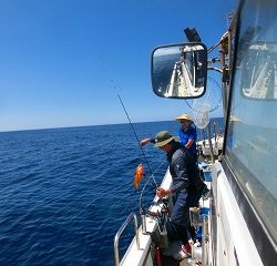 第二清洋丸 釣果