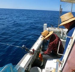 第二清洋丸 釣果