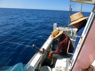 第二清洋丸 釣果