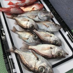 もと明丸 釣果