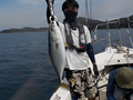 釣船　キティ 釣果