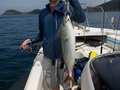 釣船　キティ 釣果