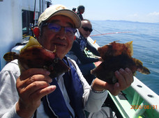 七福丸 釣果