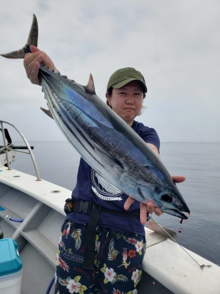 舵丸 釣果