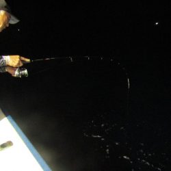 ジギング船 BLUEWATER 釣果