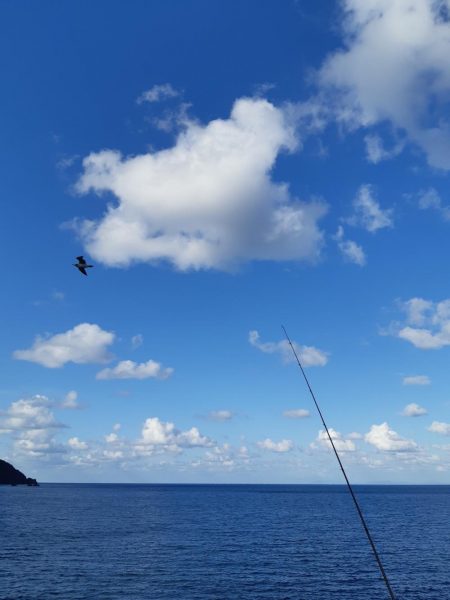 イカの気持ち１