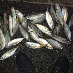 此処は大阪湾奥？