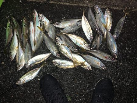 此処は大阪湾奥？