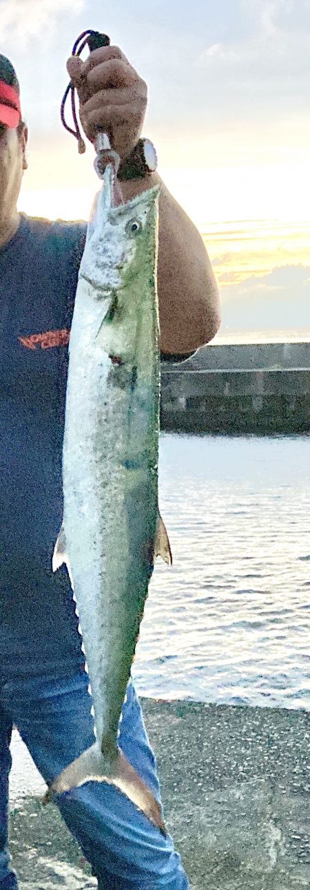 初めてのサワラ