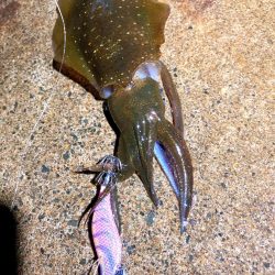 滝行フィッシング