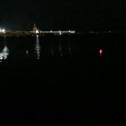 さぁー行っちゃうよー