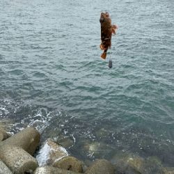 穴々をホジホジと