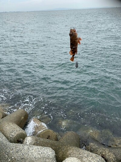 穴々をホジホジと