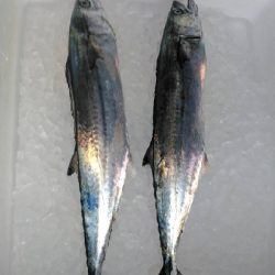 もう秋終わり？