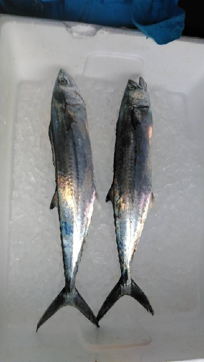 もう秋終わり？